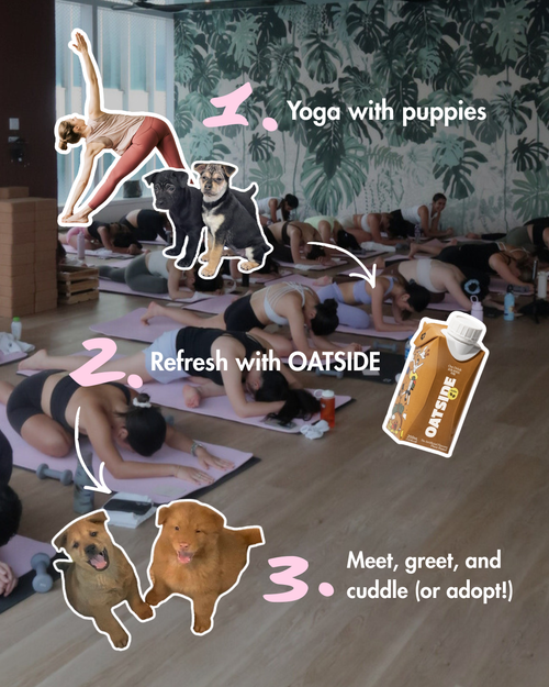 March 8th: Charity Puppy Yoga