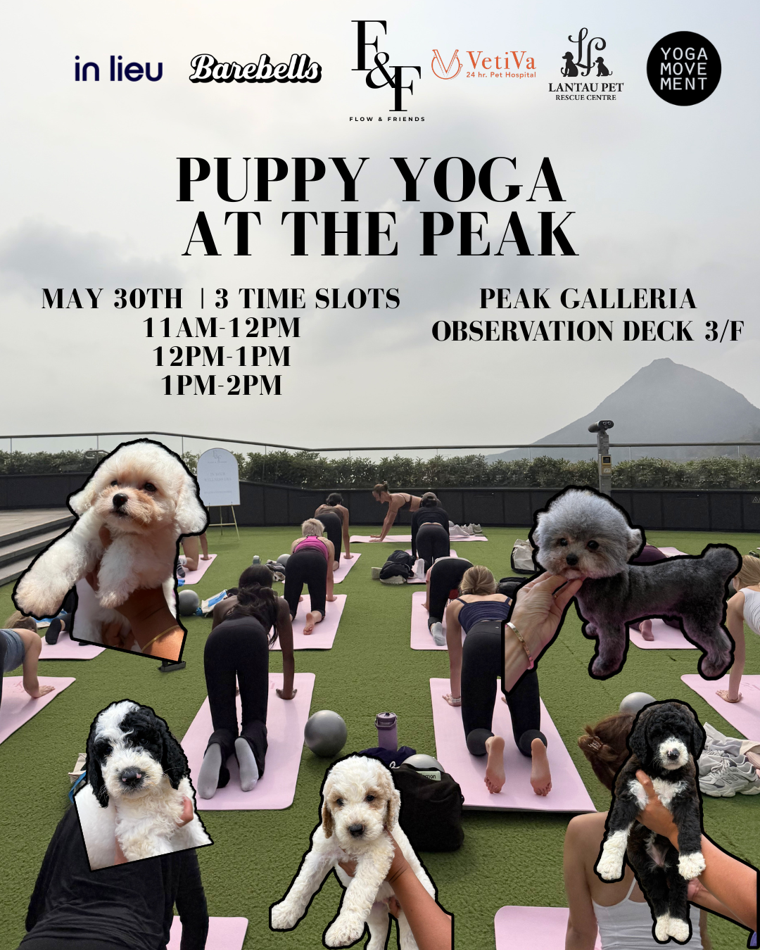 May 30th: Puppy Yoga at The Peak